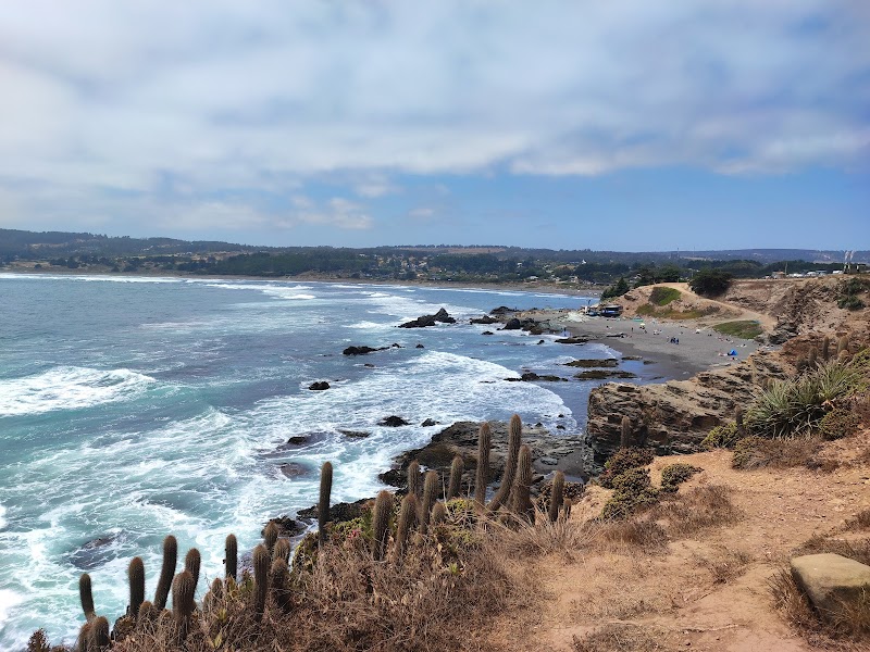 Waves & Wonders at Punta de Lobos - Punta de Lobos