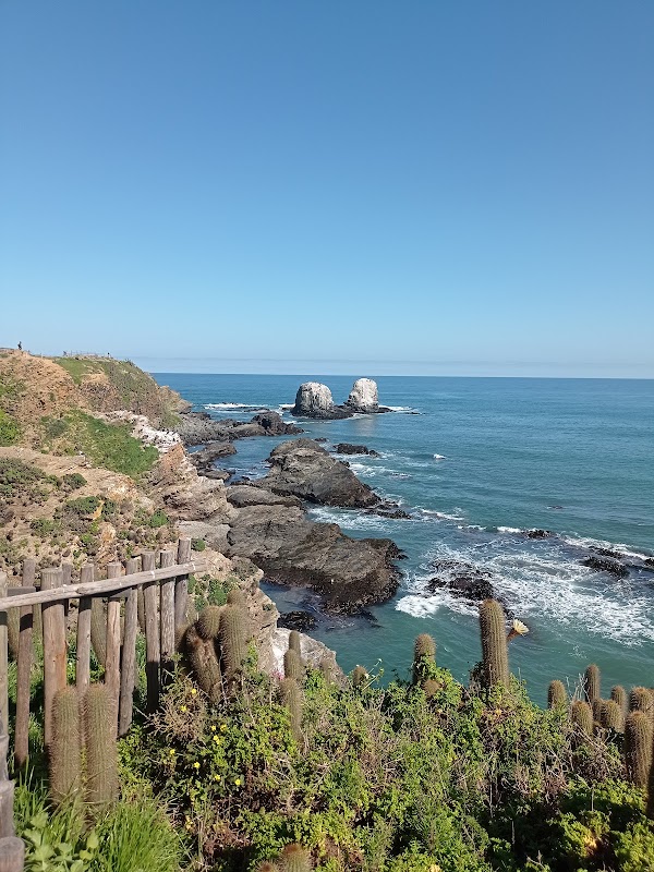 Waves & Wonders at Punta de Lobos - Punta de Lobos