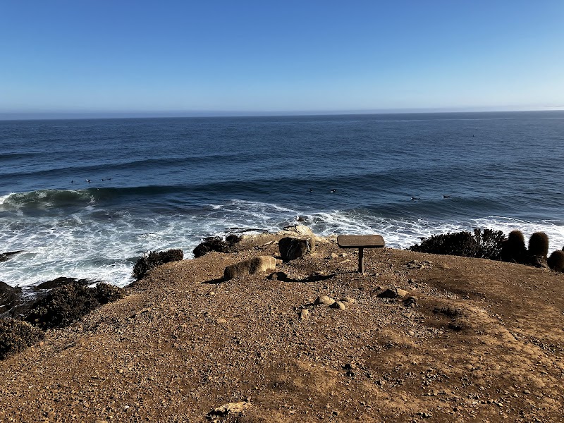 Waves & Wonders at Punta de Lobos - Punta de Lobos