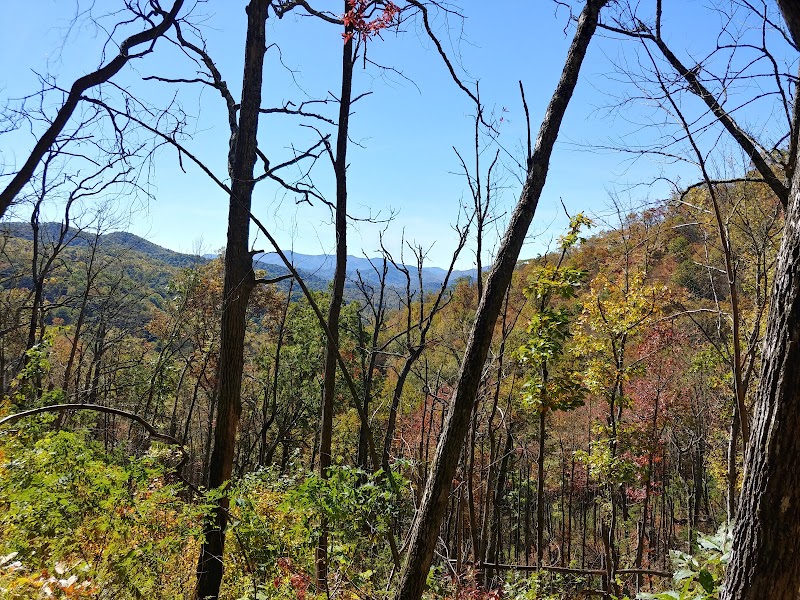 Tellico Gap: A Hidden Gem of the Nantahala Forest surrounding landscape