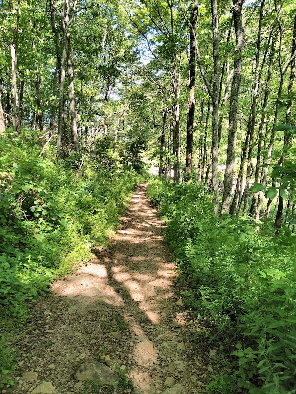 Tellico Gap: A Hidden Gem of the Nantahala Forest outdoor detail
