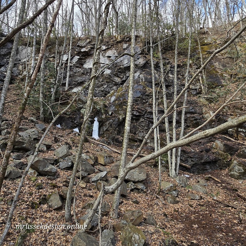 Discover the Natural Beauty of Rufus Morgan Trail surrounding landscape