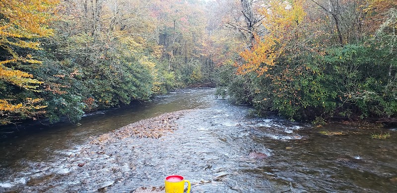 Discover the Serenity of Kimsey Creek Trail - Kimsey Creek Trail