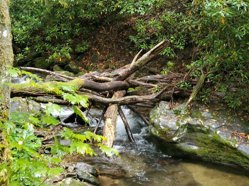 Discover the Serenity of Kimsey Creek Trail - Kimsey Creek Trail