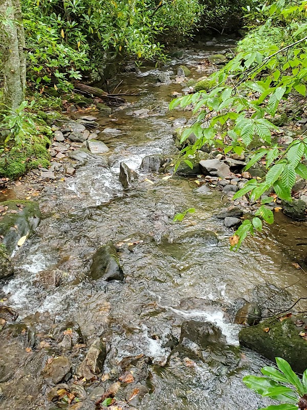Discover the Serenity of Kimsey Creek Trail - Kimsey Creek Trail