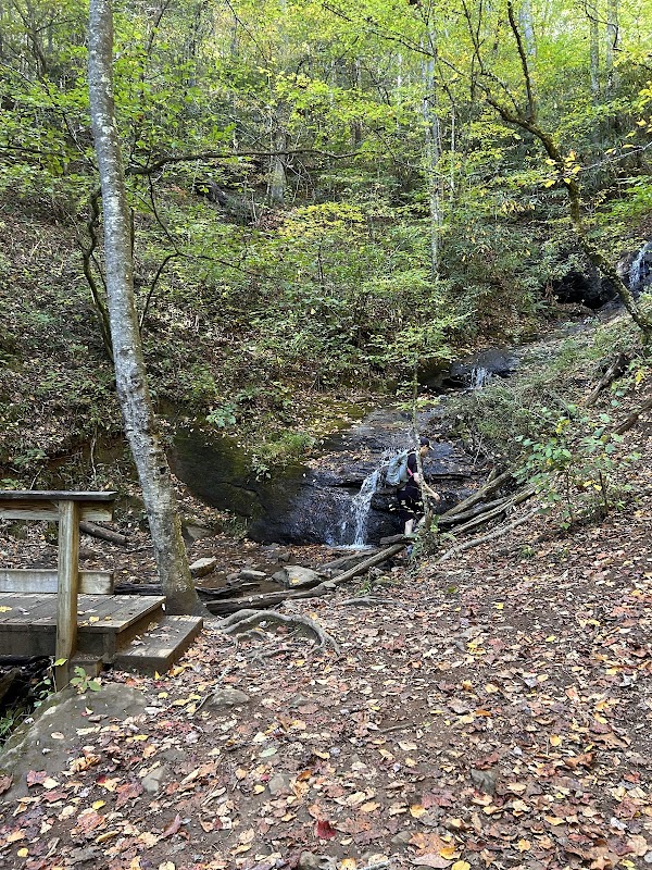 Wilderness Wonder: William's Pulpit - William's pulpit