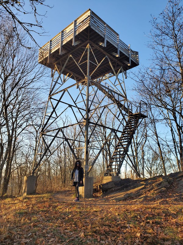Sweeping Vistas at Wesser Bald Fire Tower - Wesser Bald Fire Tower