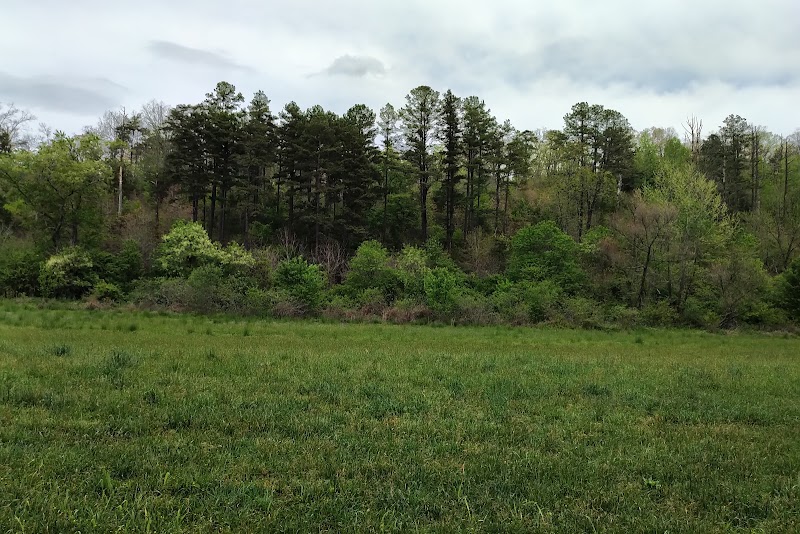 Discovering the Tranquility of Gibson Bottoms - Gibson Bottoms