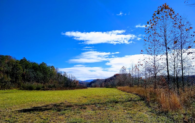 Discovering the Tranquility of Gibson Bottoms - Gibson Bottoms