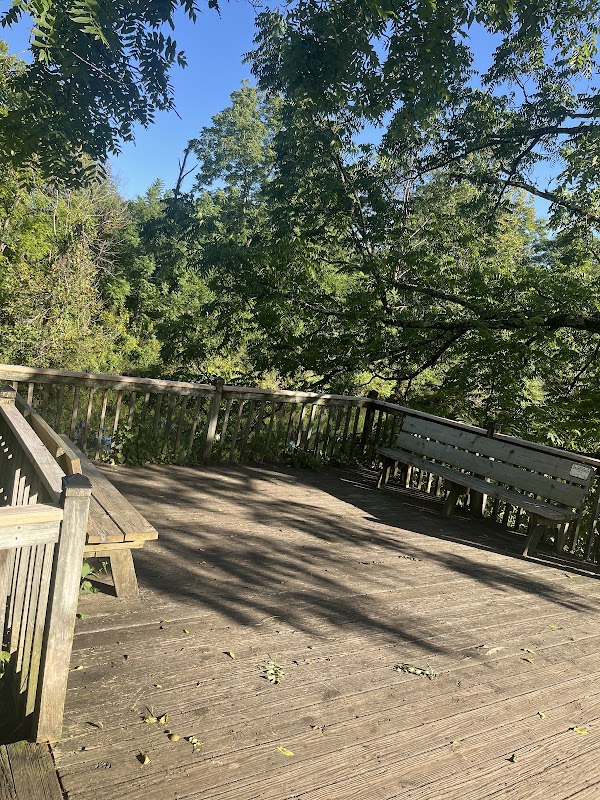 Sunlit Serenity at Tassee Shelter - Tassee Shelter