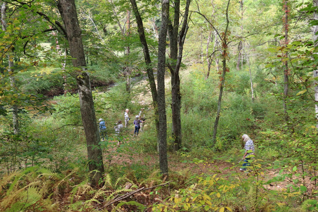 Discover Dodd Creek Trail: Floyd's Hidden Gem - Dodd Creek Trail