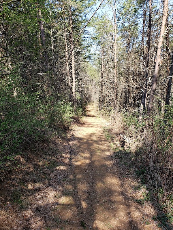 Discover Dodd Creek Trail: Floyd's Hidden Gem - Dodd Creek Trail
