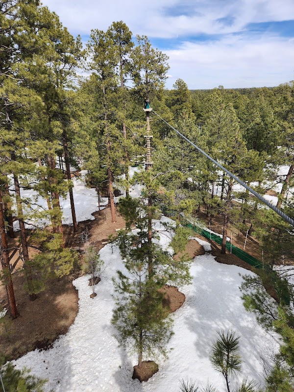 Aerial Adventures at Flagstaff Extreme surrounding landscape