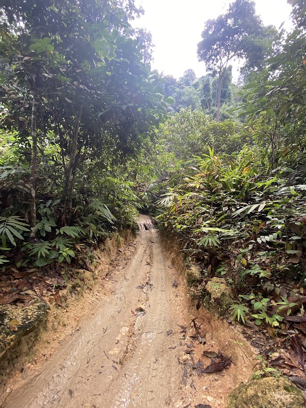 Refreshing Escape to Batu Asah Waterfall - Batu Asah Waterfall
