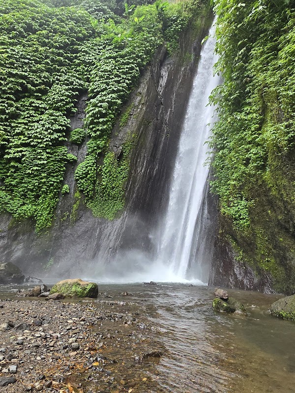 Majestic Waters of Red Coral Munduk Waterfall - Red Coral Munduk Waterfall