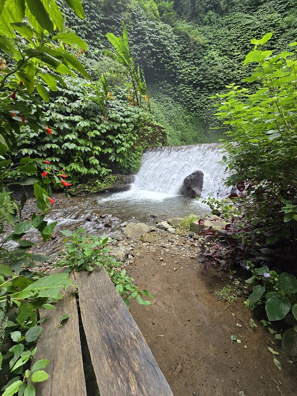 Majestic Waters of Red Coral Munduk Waterfall - Red Coral Munduk Waterfall