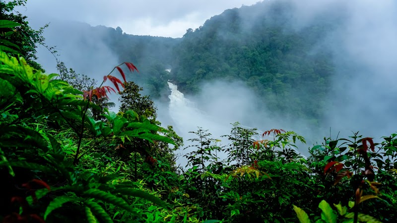 Cascades of Unchalli: Karnataka’s Hidden Gem - Unchalli Waterfalls