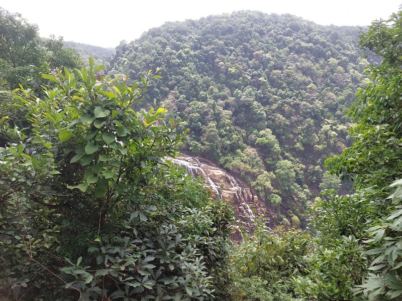 Cascades of Unchalli: Karnataka’s Hidden Gem - Unchalli Waterfalls
