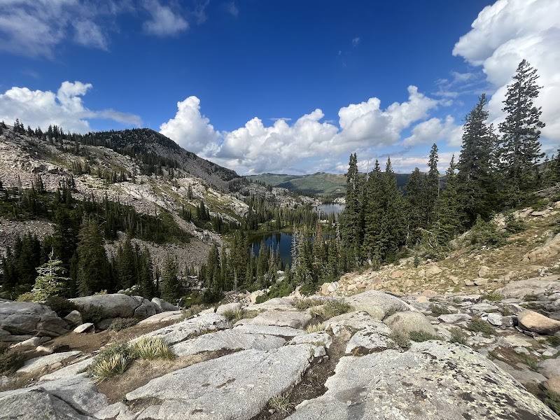 Discover the Beauty of Lake Mary outdoor detail