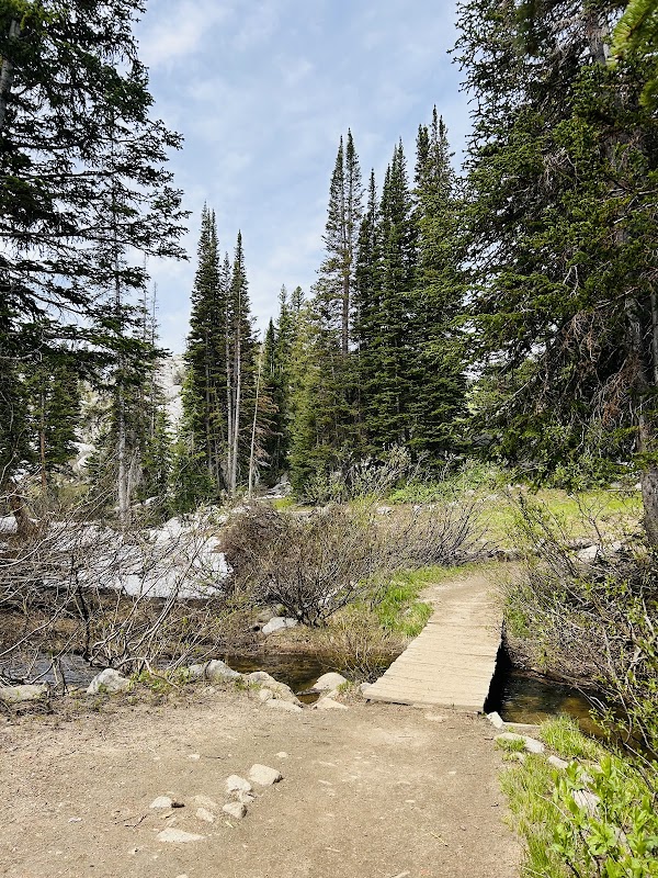 Discover the Beauty of Lake Mary surrounding landscape