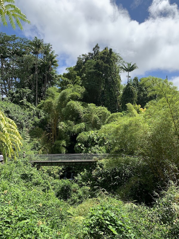 Waterfall Wonder: ‘Akaka Falls - ‘Akaka Falls