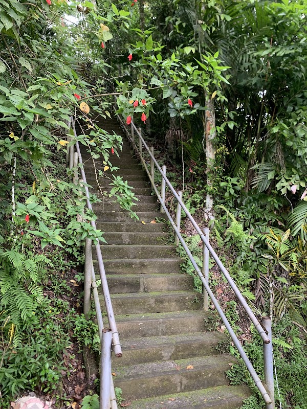 Majestic Falls: Discover Nungnung Waterfall - Nungnung Waterfall