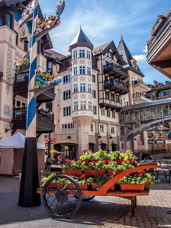 Winter Wonderland in Vail - Vail