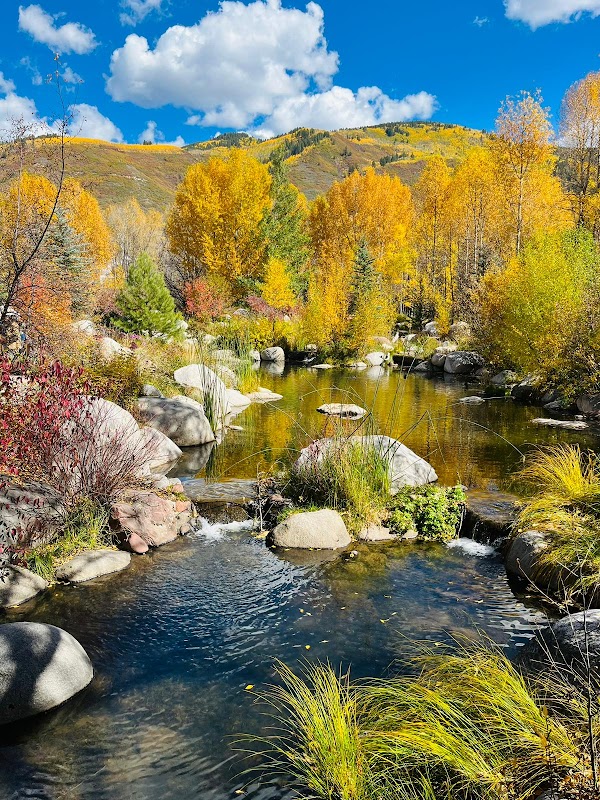 Aspen's Winter Wonderland - Aspen