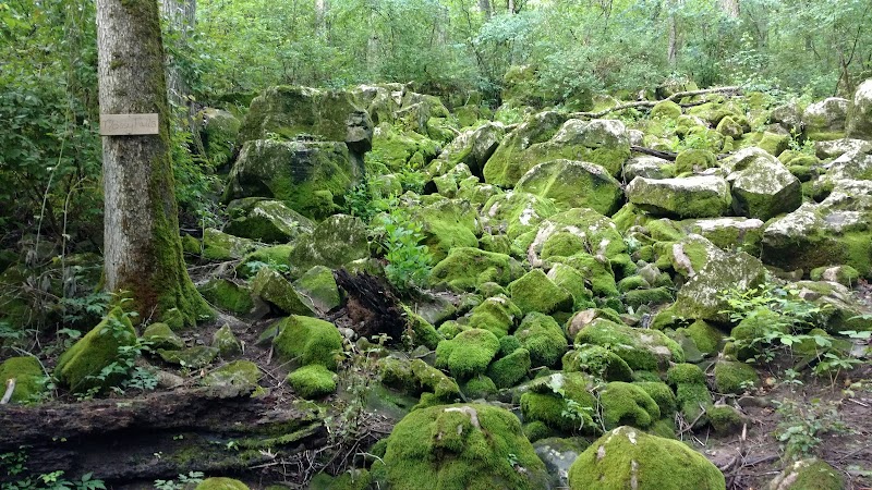 Explore the Serenity of Chapman Mountain Nature Preserve - Chapman Mountain Nature Preserve