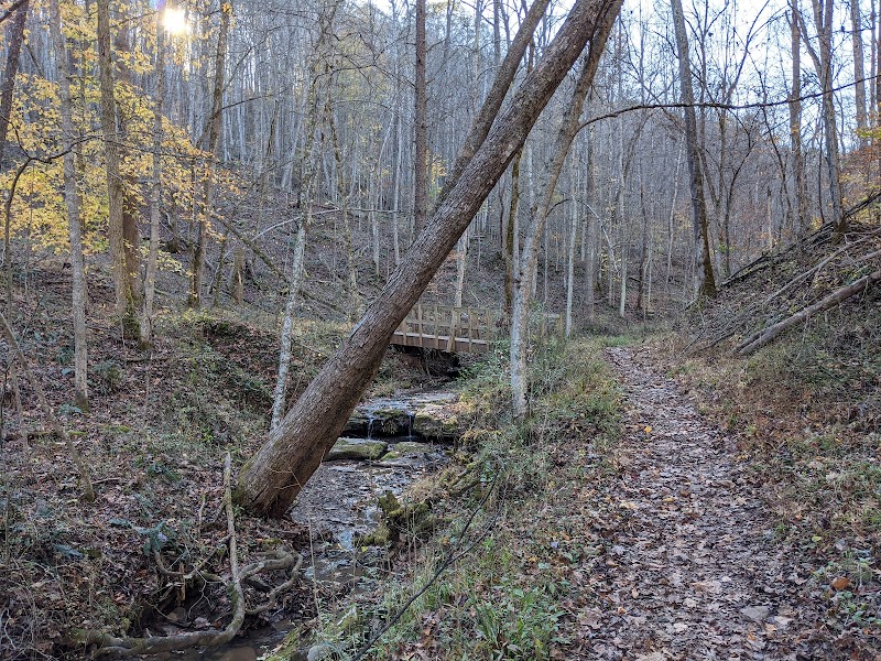 Serenity by the Stream: Ben's Run, Spencer, WV surrounding landscape
