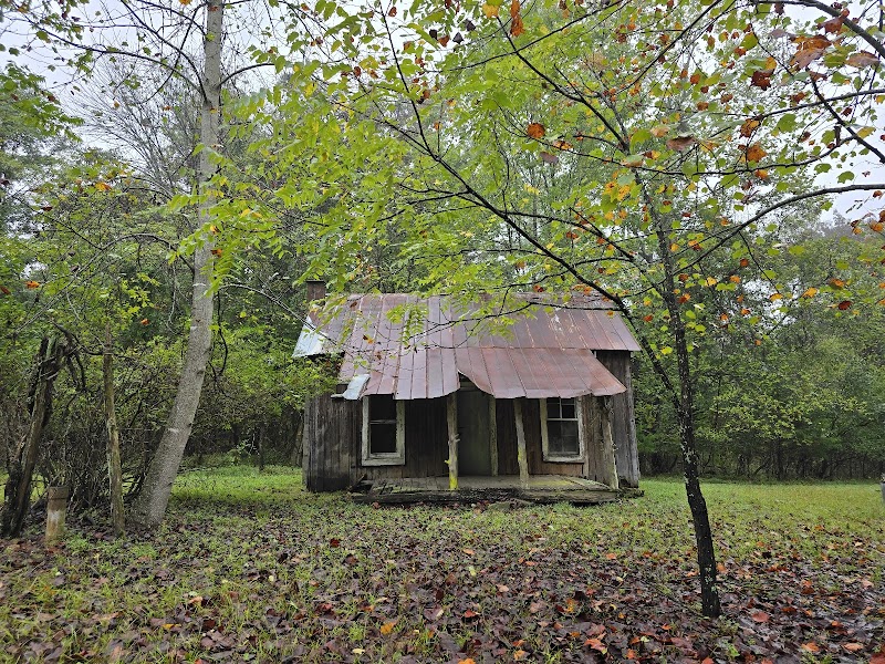 Exploring the Wonders of Bone Cave State Natural Area surrounding landscape