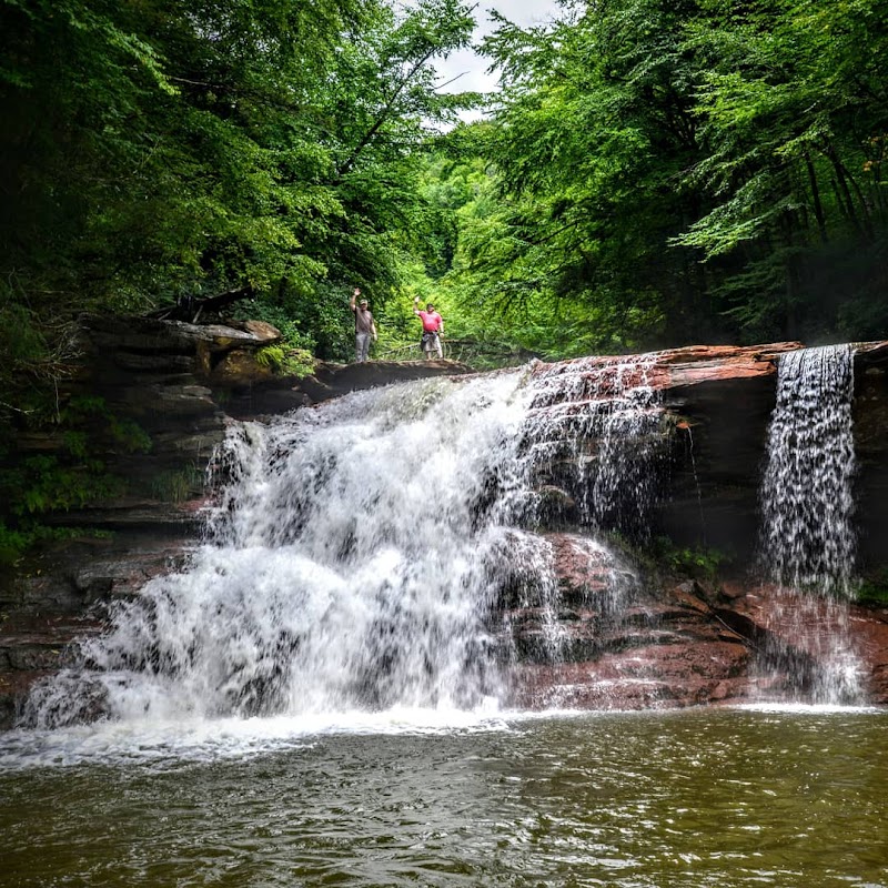 Waterfall Wonder: Kennedy Falls surrounding landscape