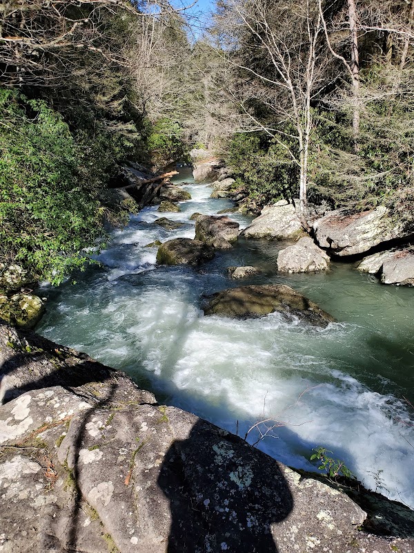 Cascading Beauty: Savage Falls - Savage Falls