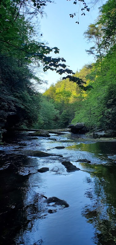 Cascading Beauty: Savage Falls - Savage Falls