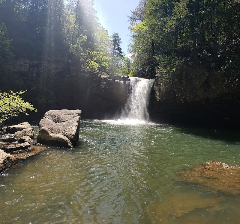 Cascading Beauty: Savage Falls - Savage Falls