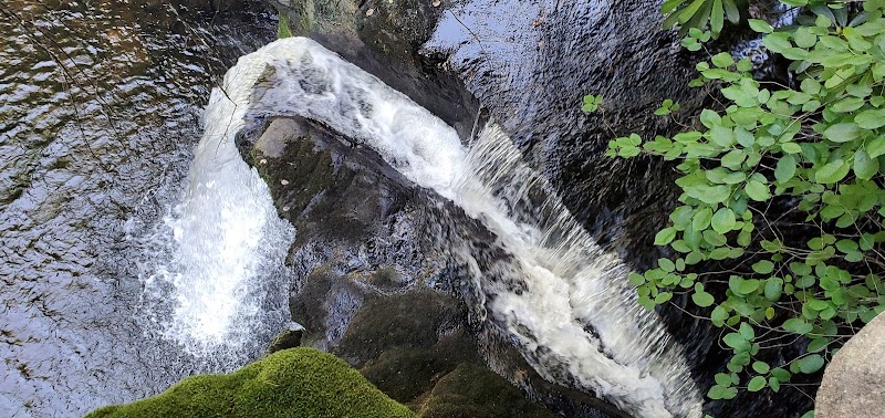 Cascading Beauty: Savage Falls outdoor detail