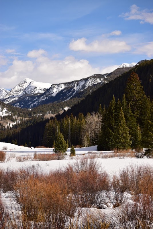Mountain Majesty: New York Mountain, Colorado surrounding landscape