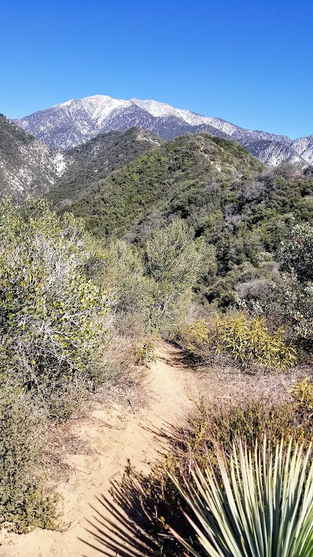 Majestic Heights of Iron Mountain surrounding landscape