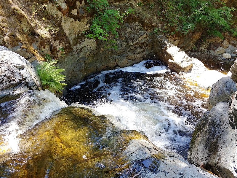 Discover the Natural Beauty of Mill Creek Regional Park outdoor detail
