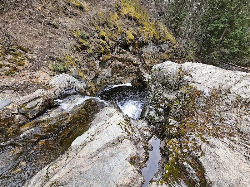 Discover the Natural Beauty of Mill Creek Regional Park surrounding landscape