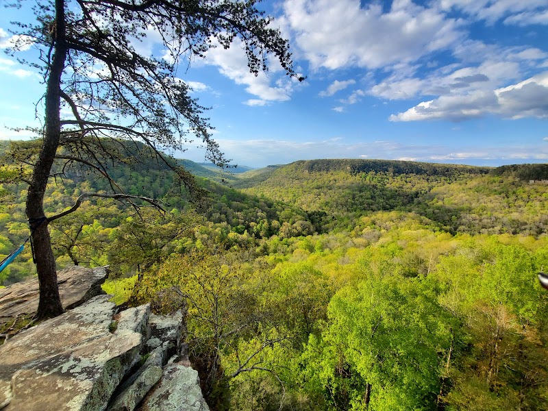 Waterfall Wonders at Fall Creek Falls - Fall Creek Falls