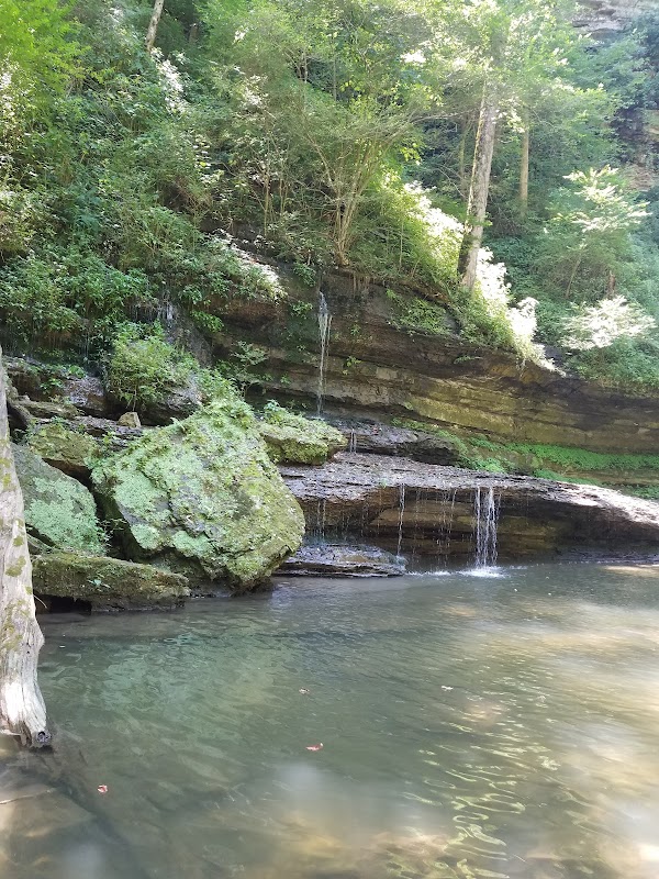 Chasing Cascades: Cul-car-mac Falls in Tennessee surrounding landscape