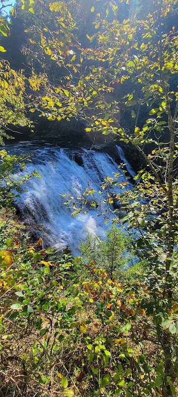 Discover the Majestic Cane Creek Falls surrounding landscape