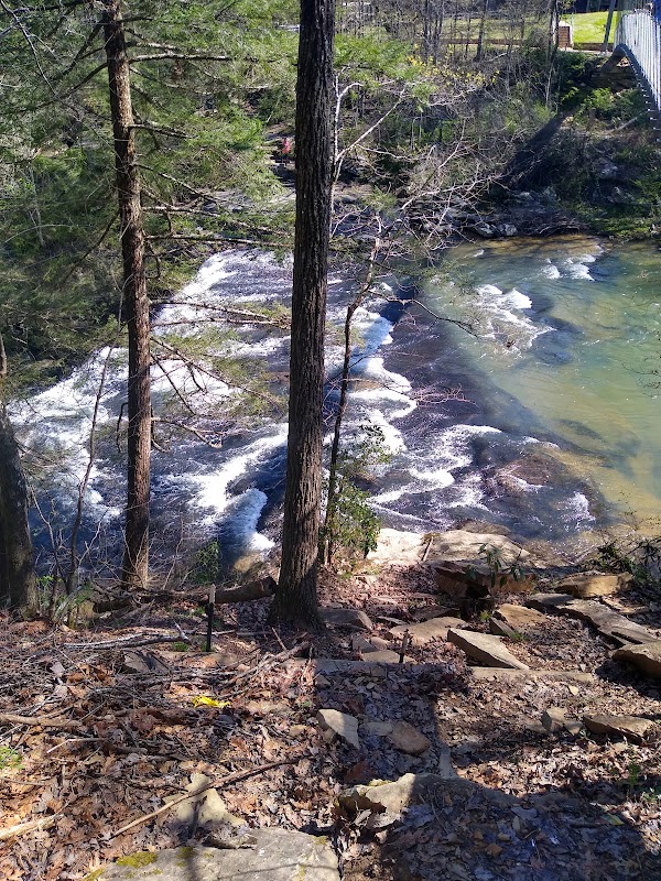 Discover the Majestic Cane Creek Falls outdoor detail