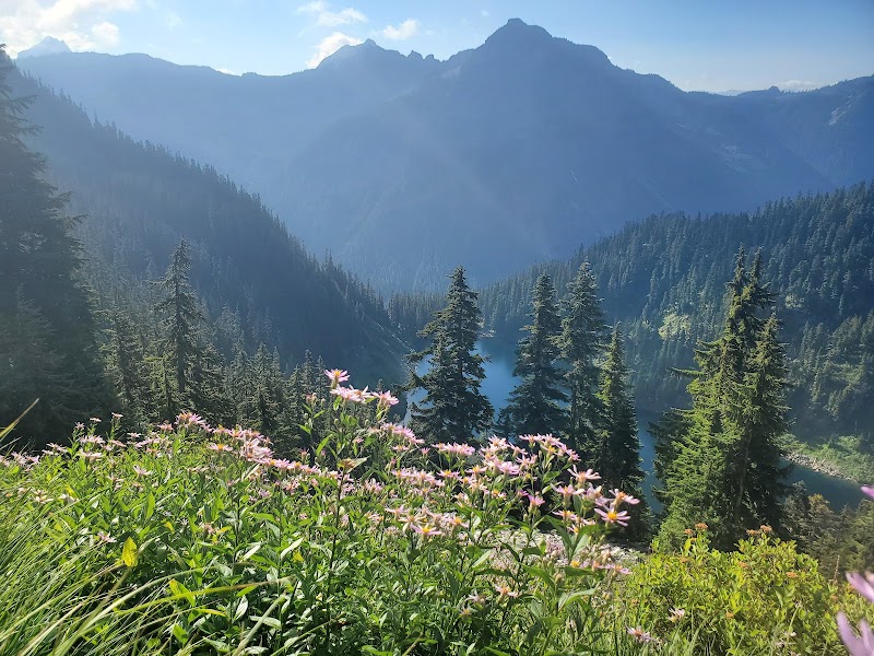 Serenity at Alaska Lake, Washington - Alaska Lake