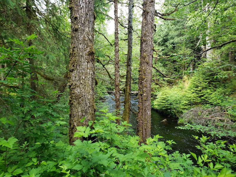 Majestic Wilderness of Tongass National Forest - Tongass National Forest