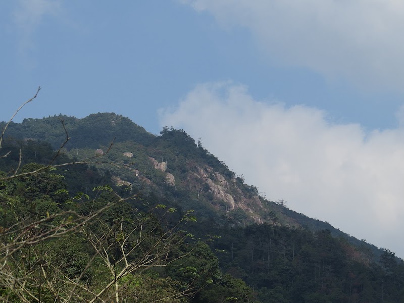 Nature's Haven: Gutian Nature Reserve - 古田自然保护区