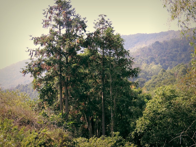 Gutian Nature Reserve adventures