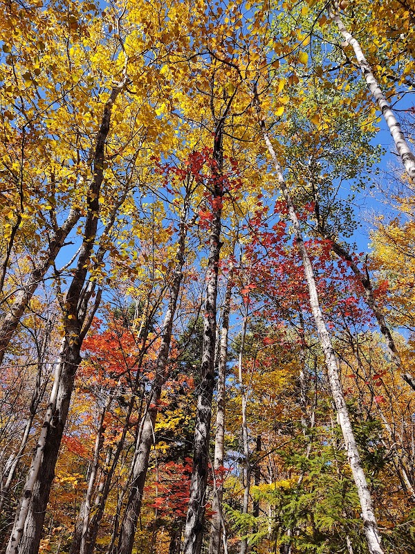 Tranquil Trails at Tumbledown Mountain surrounding landscape