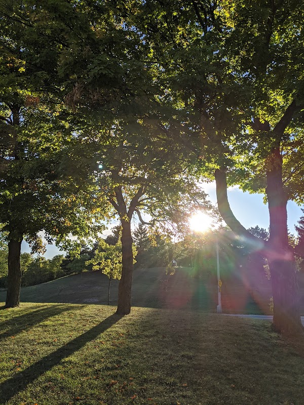 Waterfall Wonders: Albion Falls in Hamilton surrounding landscape